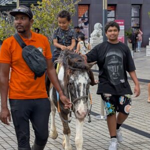 541804026_1193221886172081_7900665866229926212_n